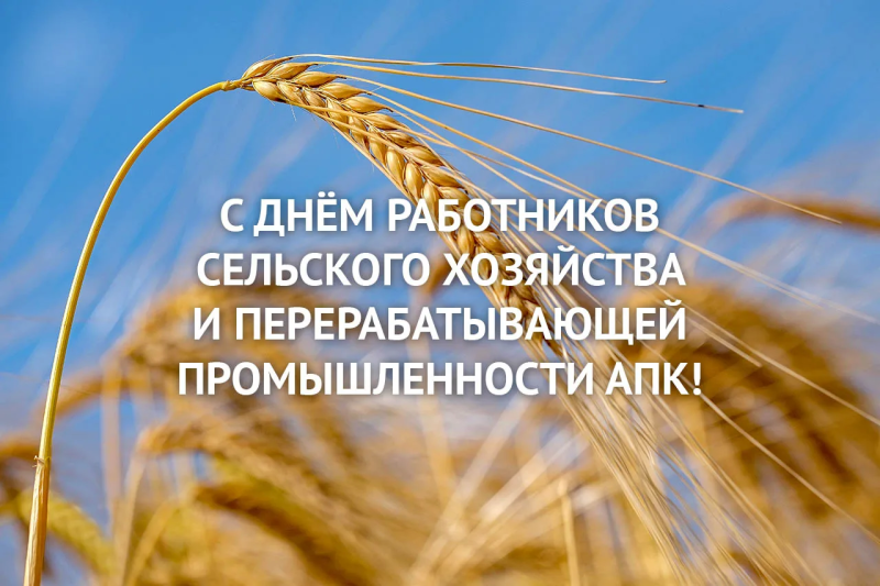 С праздником, уважаемые работники сельского хозяйства! С праздником, уважаемые работники сельского хозяйства!
