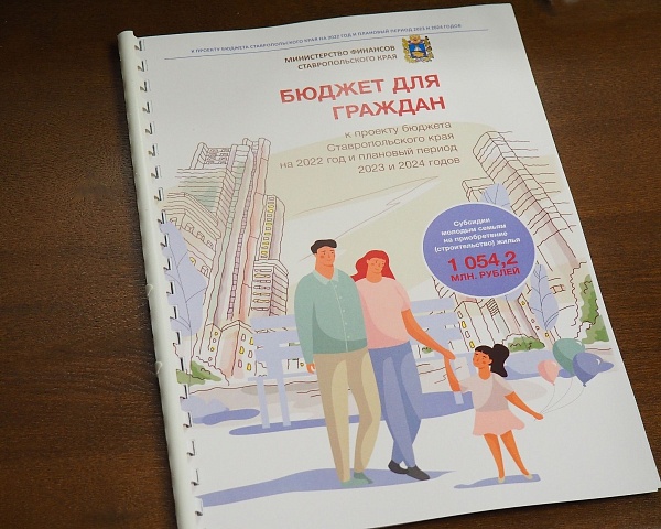 Госдума приняла бюджет на «трехлетку» с социальными поправками «Единой России»